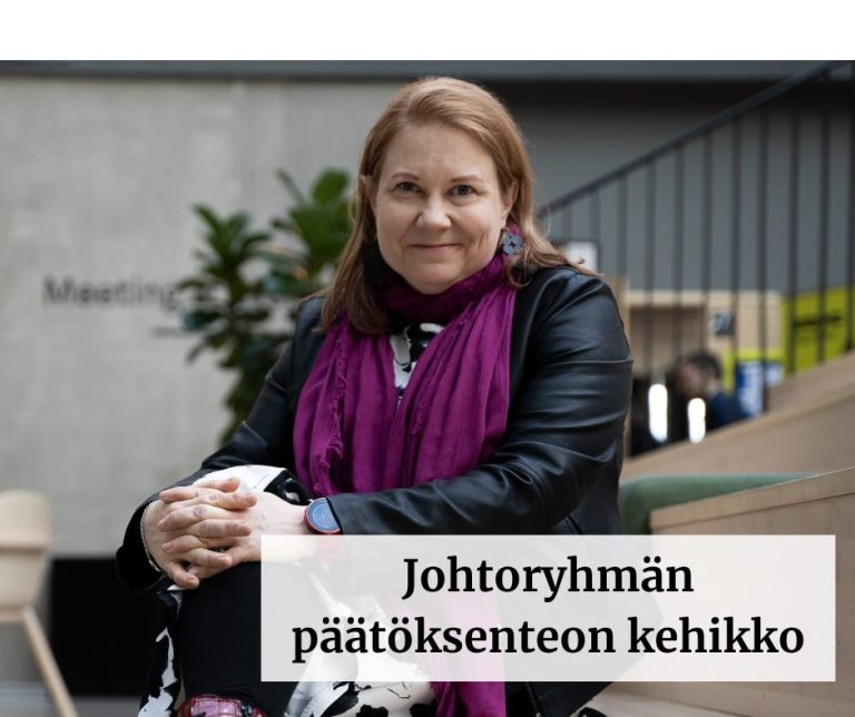 johtoryhmän päätöksenteon kehikko
